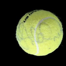 Roger Federer signed tennis ball, 2014