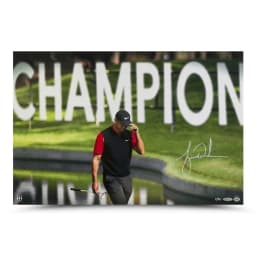 Tiger Woods signed "The Tie" 24x16 (UDA)