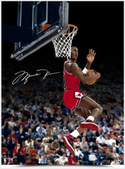 Michael Jordan signed Cradle Dunk 30x40