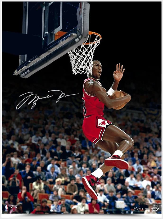 Michael Jordan signed Cradle Dunk 30x40