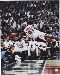 Dennis Rodman signed 16x20 photo