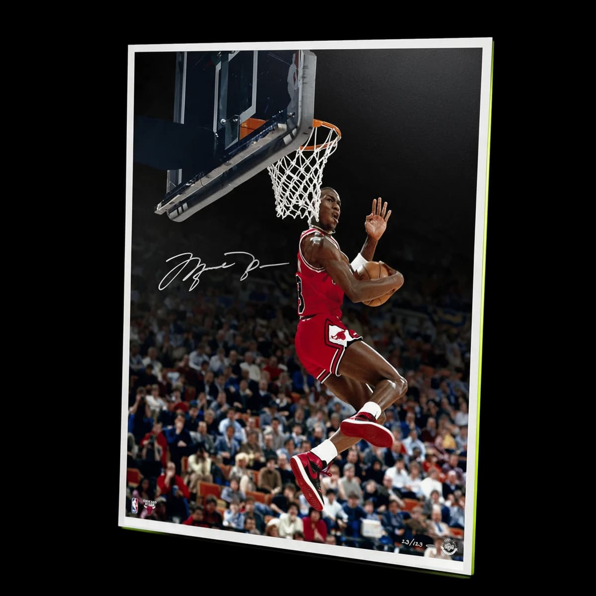 Michael Jordan signed Cradle Dunk 30x40