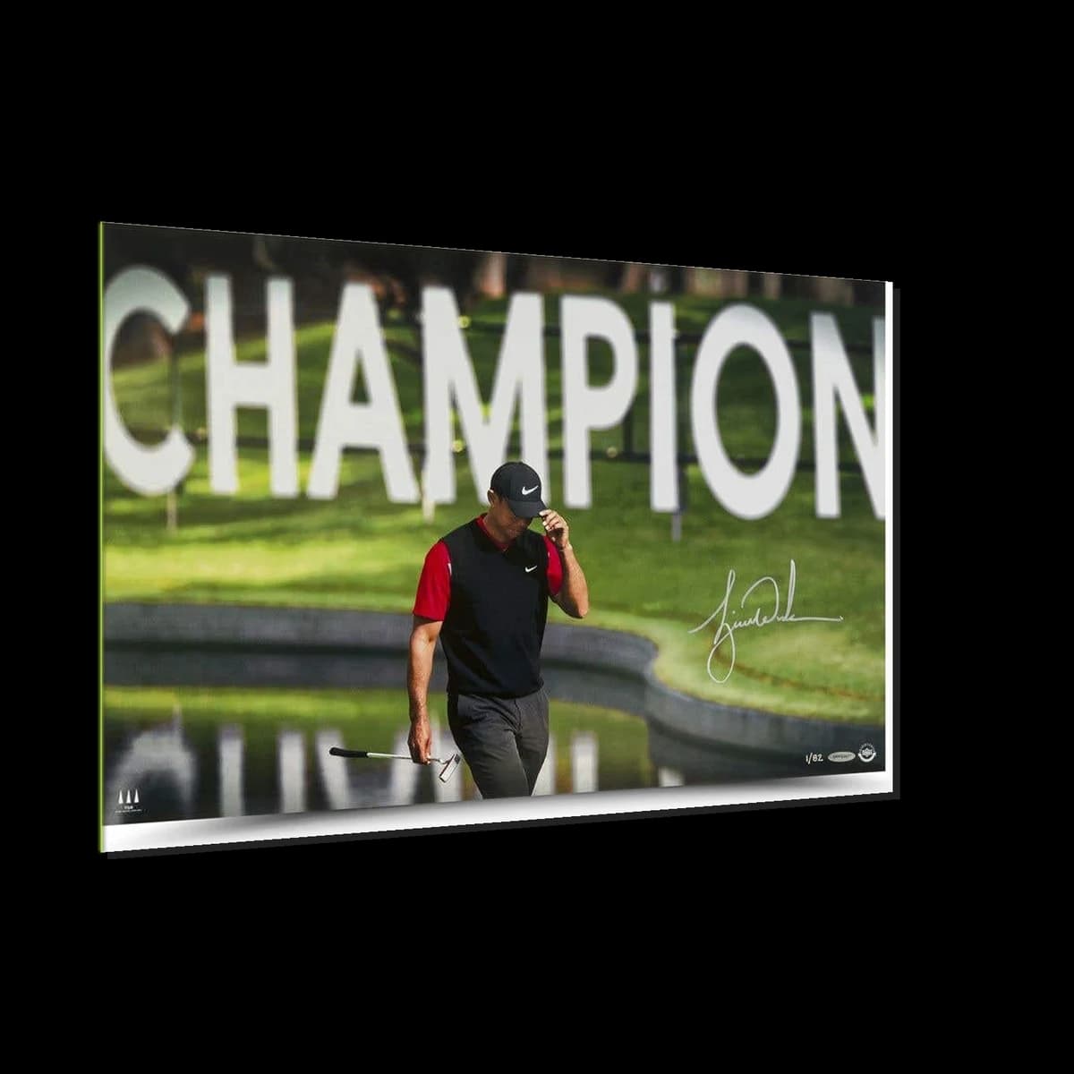 Tiger Woods signed "The Tie" 24x16 (UDA)
